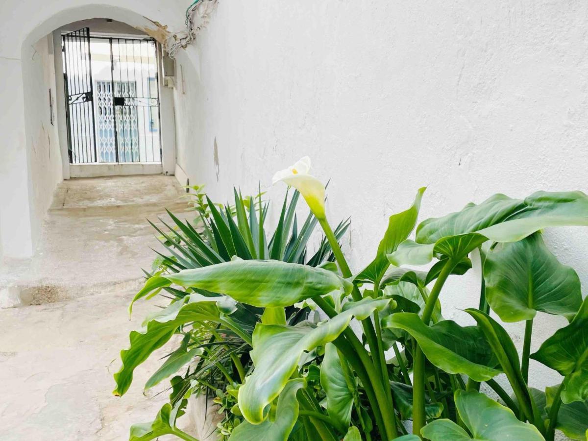 Alazul Campillo Apartamento Conil De La Frontera